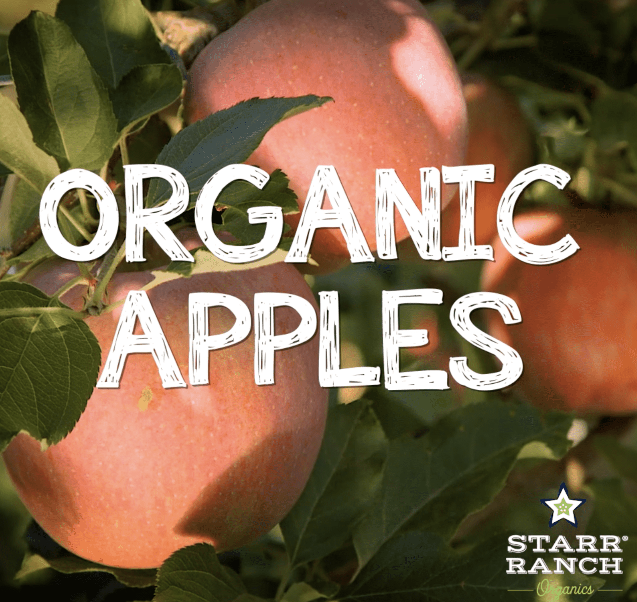 For the Love of Organic: Apples