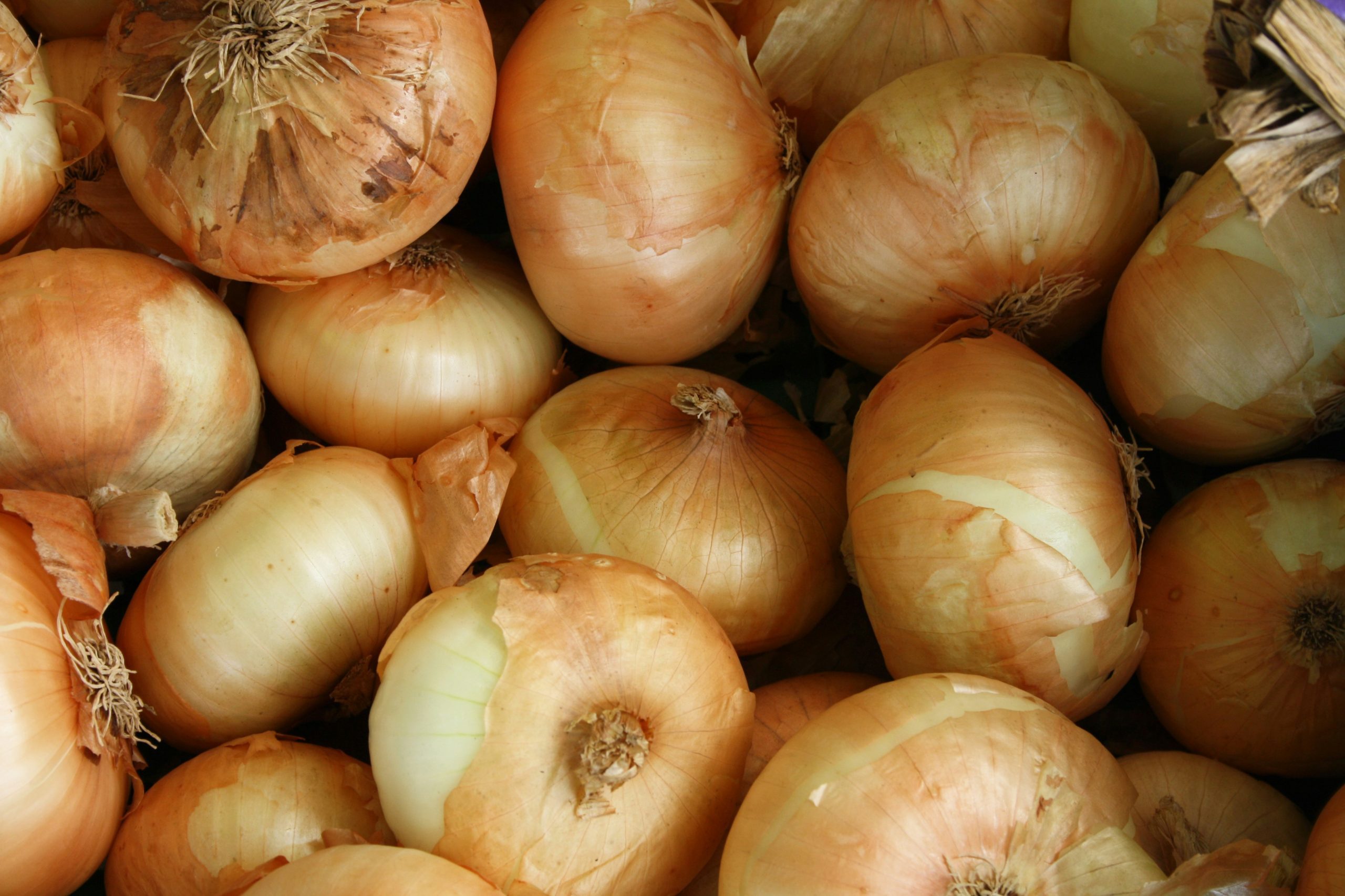 Vidalia Onions